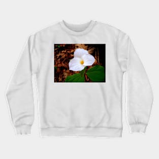 Mountain Flower Crewneck Sweatshirt